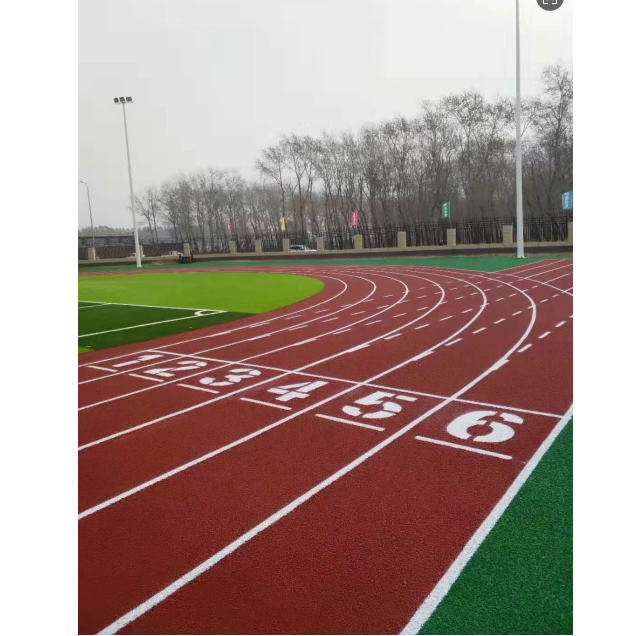 塑料跑道施工實(shí)景圖1
